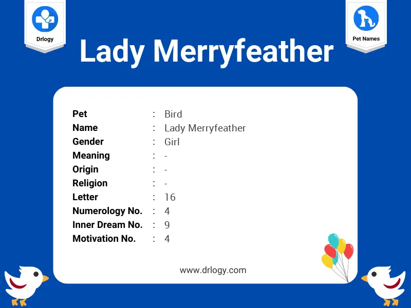 Lady Merryfeather Name Meaning